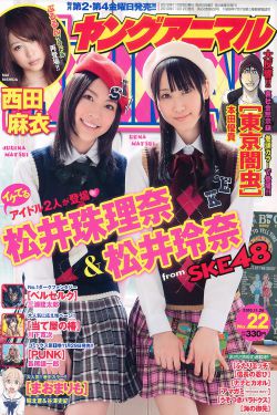 无敌铁金刚